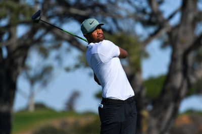 Tony Finau Poster 3492557