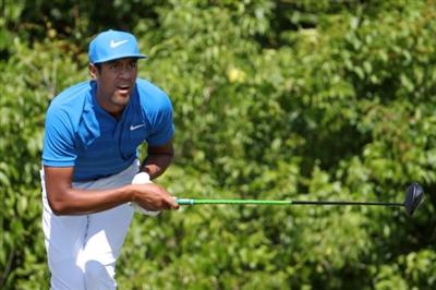Tony Finau Poster 3492591