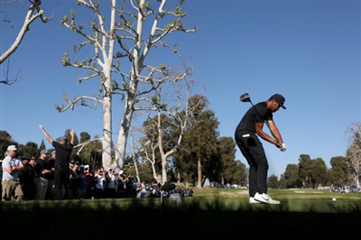 Tony Finau Poster 3492610