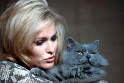Ursula Andress Poster 1537939