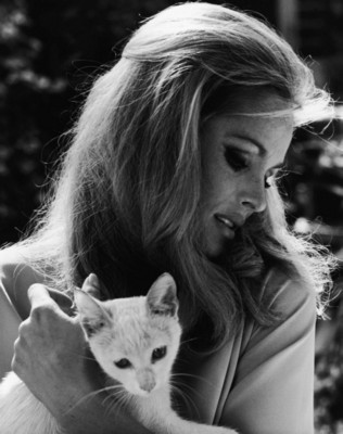 Ursula Andress Poster 1537953