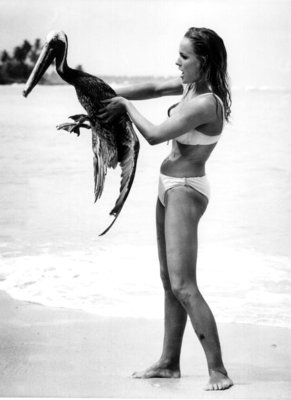 Ursula Andress Poster 2600239