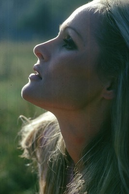 Ursula Andress Poster 2600261