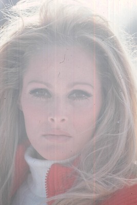 Ursula Andress Poster 2600263
