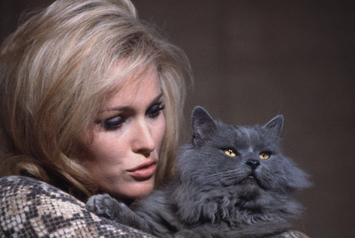 Ursula Andress Poster 2682022