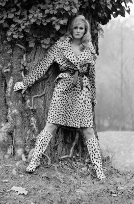 Ursula Andress Poster 3665809