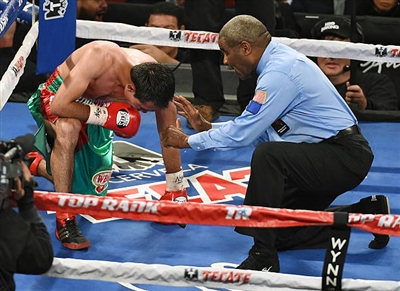 Vasiliy Lomachenko Poster 3582983