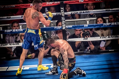 Vasiliy Lomachenko Poster 3583107