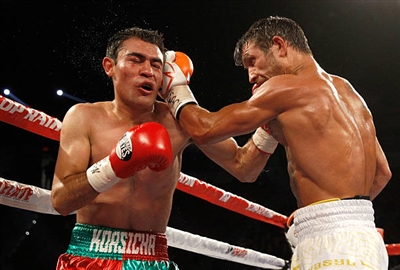 Vasiliy Lomachenko Poster 3583219