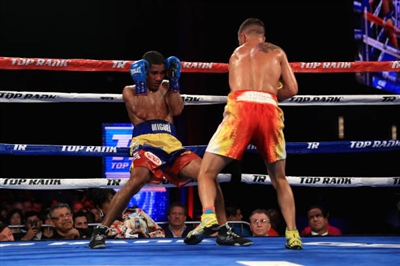 Vasiliy Lomachenko Poster 3583220