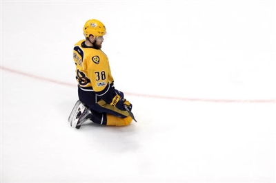 Viktor Arvidsson Poster 3546735