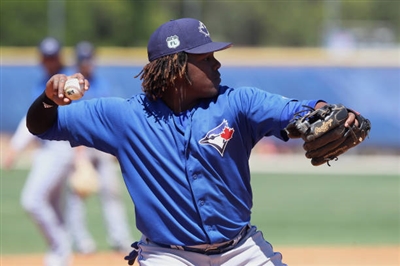 Vladimir Guerrero Jr. Poster 3480724