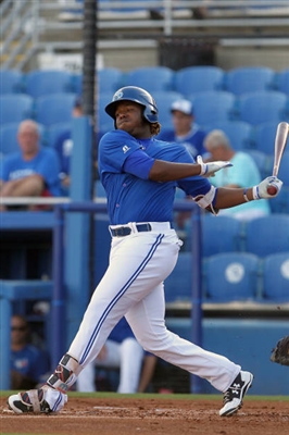 Vladimir Guerrero Jr. Poster 3480726