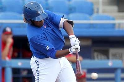 Vladimir Guerrero Jr. Poster 3480731