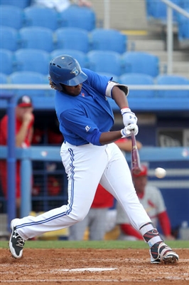 Vladimir Guerrero Jr. Poster 3480735