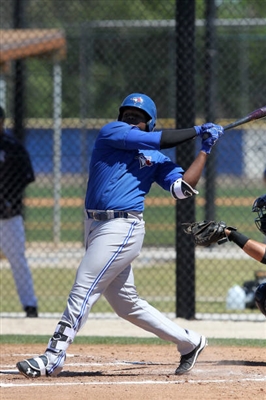 Vladimir Guerrero Jr. Poster 3480736