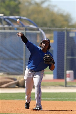 Vladimir Guerrero Jr. Poster 3480737