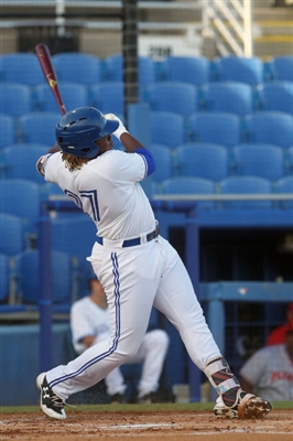 Vladimir Guerrero Jr. Poster 3480743