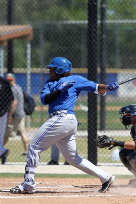 Vladimir Guerrero Jr. Poster 3480744