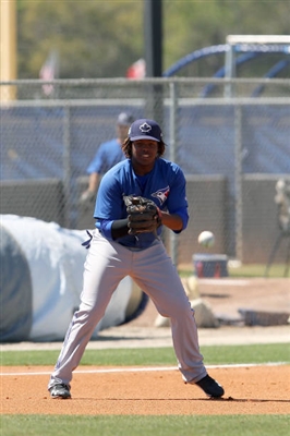 Vladimir Guerrero Jr. Poster 3480755