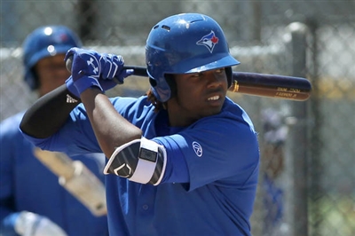 Vladimir Guerrero Jr. Poster 3480756