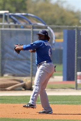 Vladimir Guerrero Jr. Poster 3480761