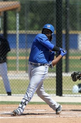 Vladimir Guerrero Jr. Poster 3480767