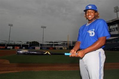 Vladimir Guerrero Jr. Poster 3480769