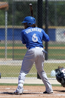 Vladimir Guerrero Jr. Poster 3480783