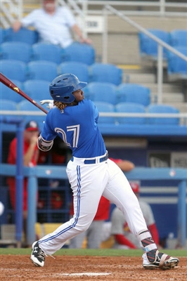 Vladimir Guerrero Jr. Poster 3480798