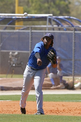 Vladimir Guerrero Jr. Poster 3480808