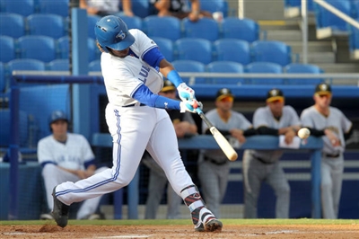 Vladimir Guerrero Jr. Poster 3480813
