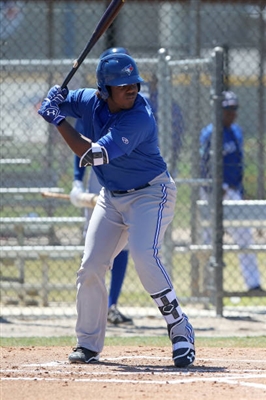 Vladimir Guerrero Jr. Poster 3480817