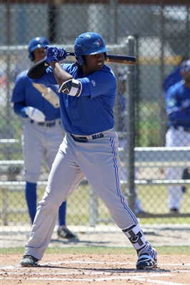 Vladimir Guerrero Jr. Poster 3480829