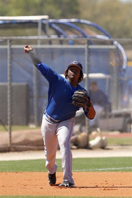 Vladimir Guerrero Jr. Poster 3480831