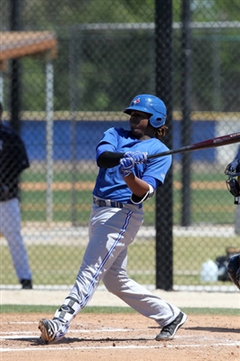 Vladimir Guerrero Jr. Poster 3480835