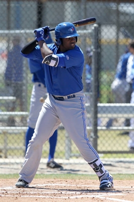 Vladimir Guerrero Jr. Poster 3480837