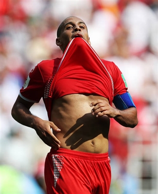 Wahbi Khazri Poster 3331876