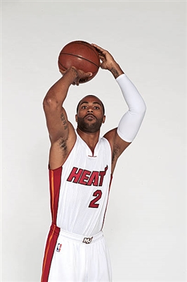 Wayne Ellington Poster 3391967