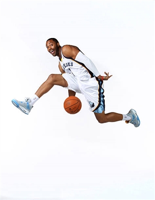 Wayne Ellington Poster 3392043