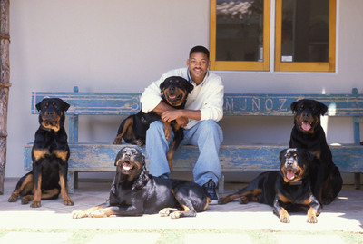 Will Smith Poster 2192878