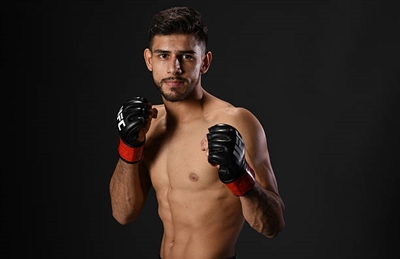 Yair Rodriguez Poster 3525439