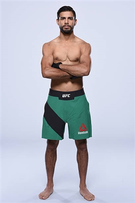 Yair Rodriguez Poster 3525442