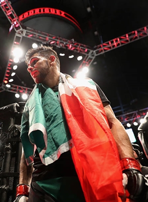Yair Rodriguez Poster 3525482