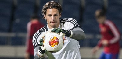Yann Sommer Poster 2388180