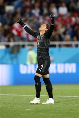 Yann Sommer Poster 3358238