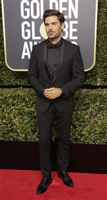 Zac Efron Poster 3041438