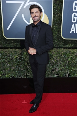 Zac Efron Poster 3041444