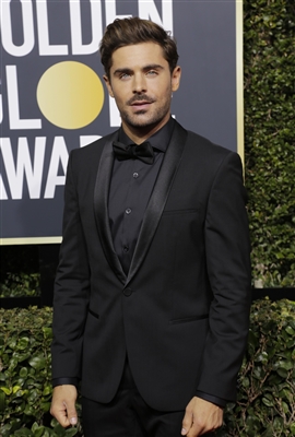 Zac Efron Poster 3041447