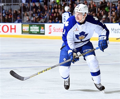 Zach Hyman Poster 3564222